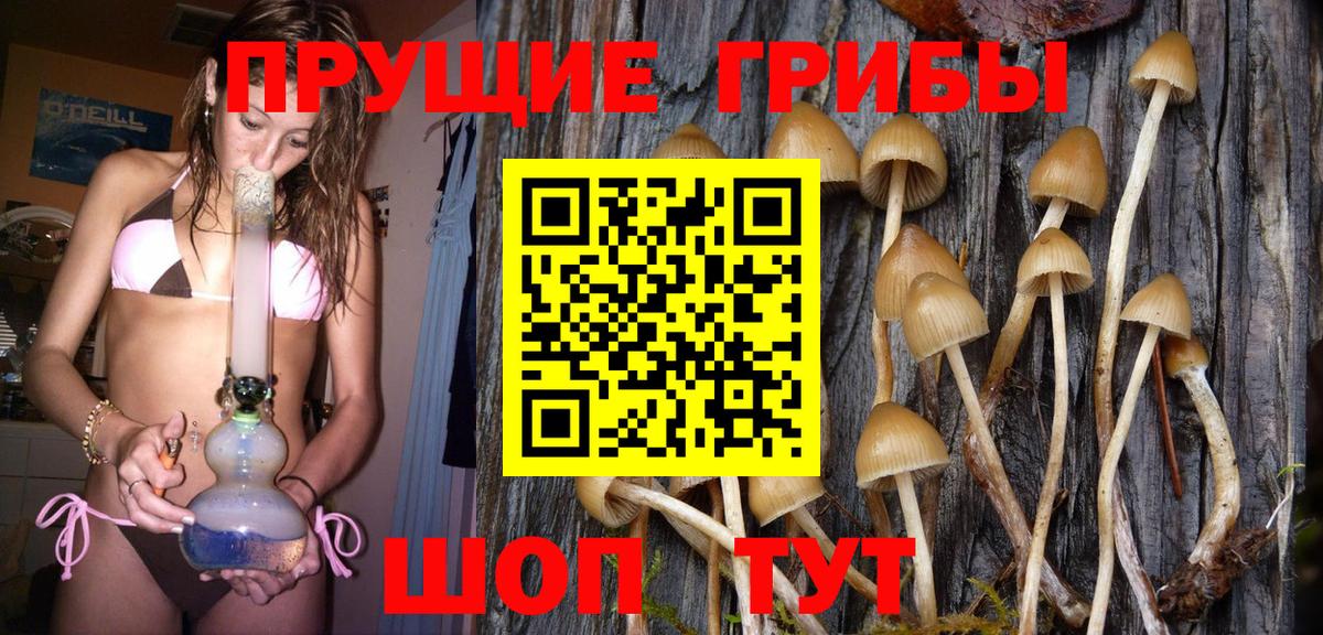 Галлюциногенные грибы мицелий  Вход с VPN  Дзержинск 